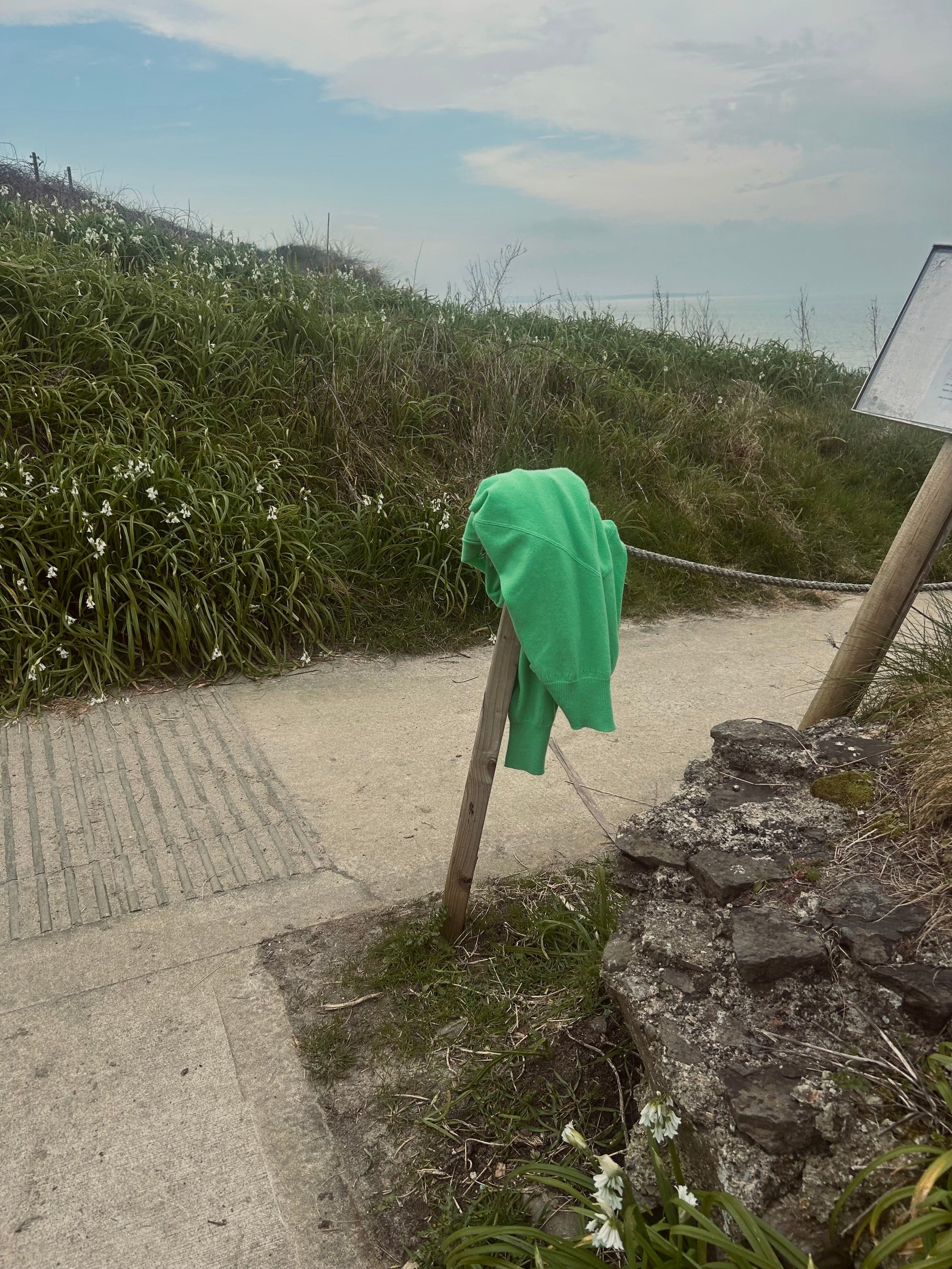 The Quiet Nature of Longevity